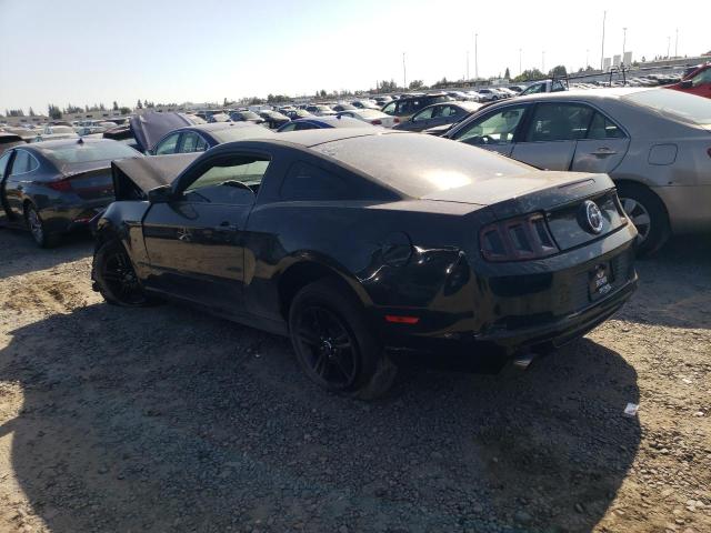 1ZVBP8AM9E5271974 Ford MUSTANG
