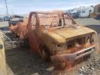 Salvage World Auctions