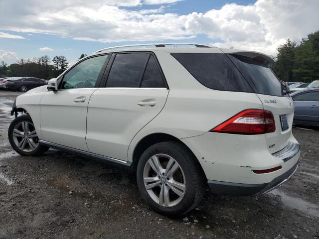 VIN 4JGDA5HB3DA218138 2013 Mercedes-Benz ML-Class, ... no.2