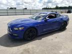 2016 FORD MUSTANG - 1FA6P8TH0G5235362