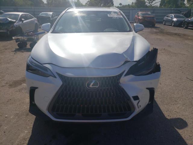 2023 LEXUS NX 250 JTJGDCAZXP5010546