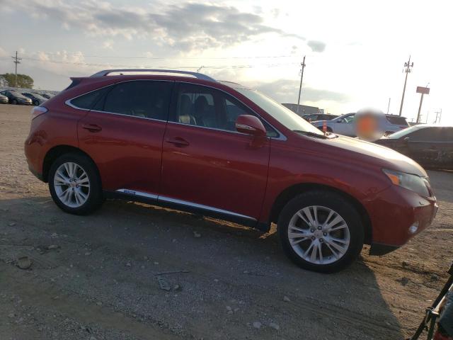 JTJBC1BA5B2034905 | 2011 Lexus rx 450