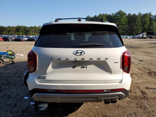 KM8R5DGE6PU492243 Hyundai Palisade L 6