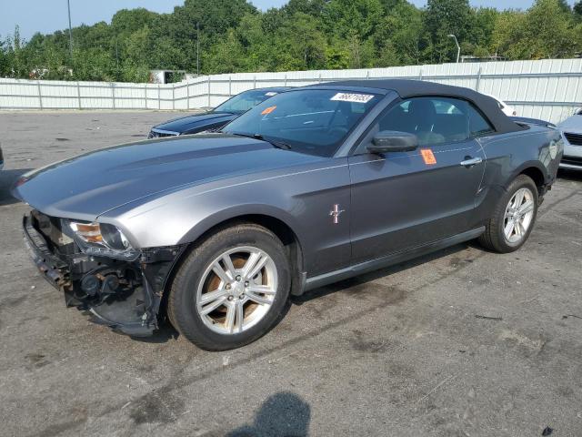 2010 Ford Mustang 