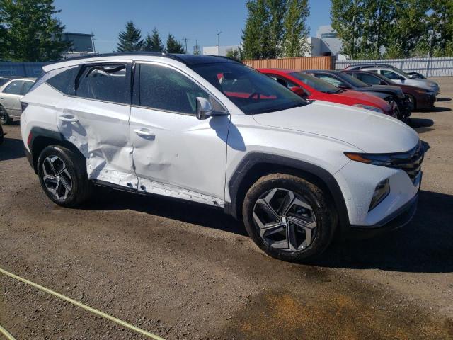 2023 HYUNDAI TUCSON LUX - KM8JCCA11PU097373