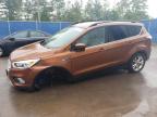 2017 FORD ESCAPE SE - 1FMCU9GD3HUA34481