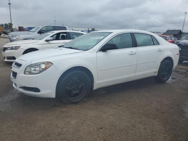 1G1ZA5EU1BF136899 | 2011 Chevrolet malibu ls