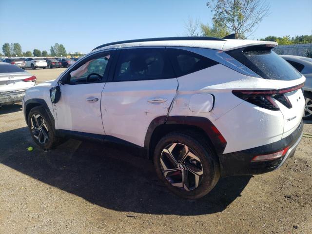 2023 HYUNDAI TUCSON LUX - KM8JCCA11PU097373