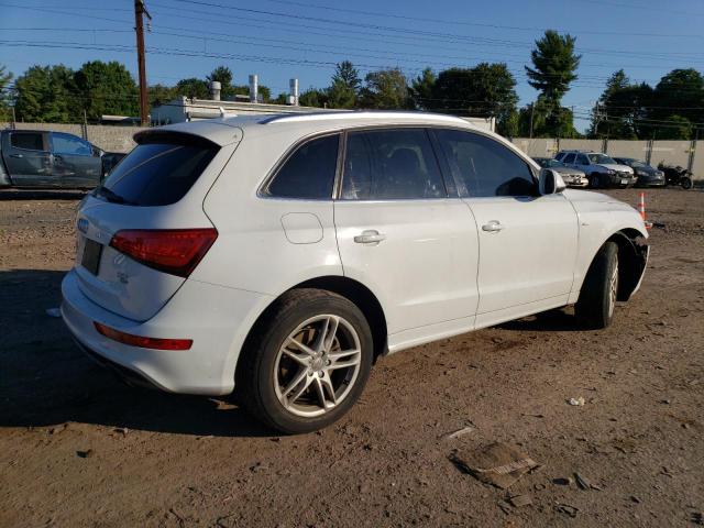 VIN WA1WGAFP2DA053177 2013 Audi Q5, Prestige no.3