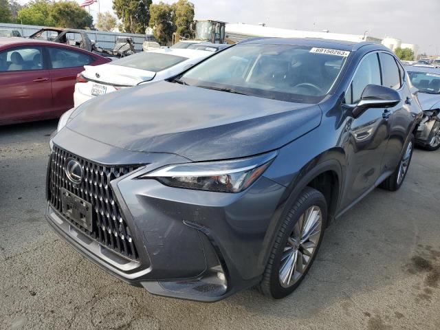 2022 Lexus NX 