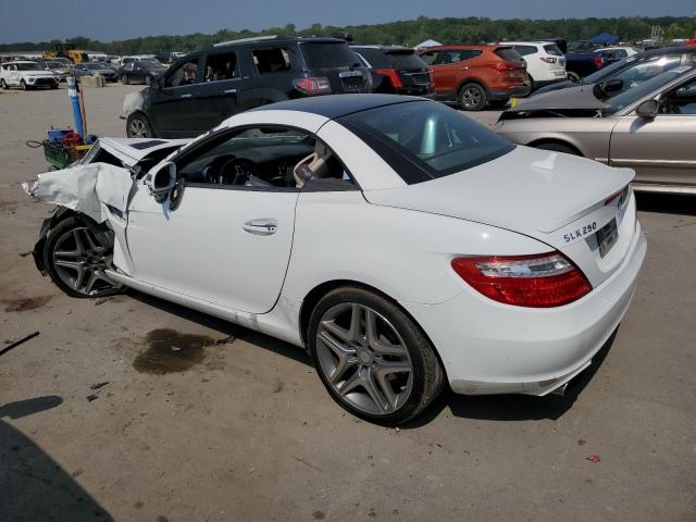 2014 Mercedes-Benz Slk 250 VIN: WDDPK4HA8EF083152 Lot: 67061933