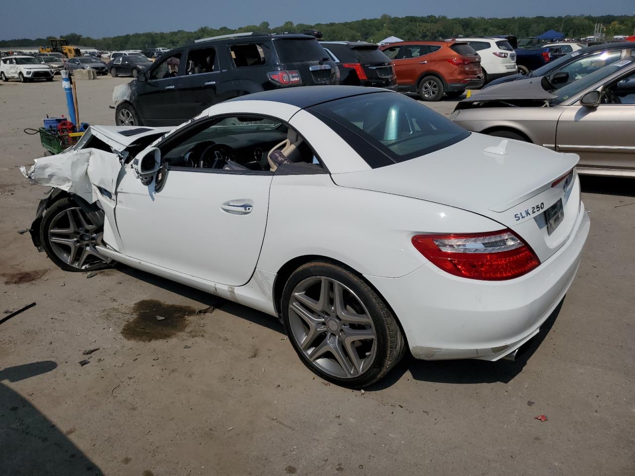 WDDPK4HA8EF083152 2014 Mercedes-Benz Slk 250