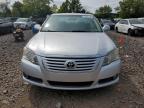 TOYOTA AVALON XL photo