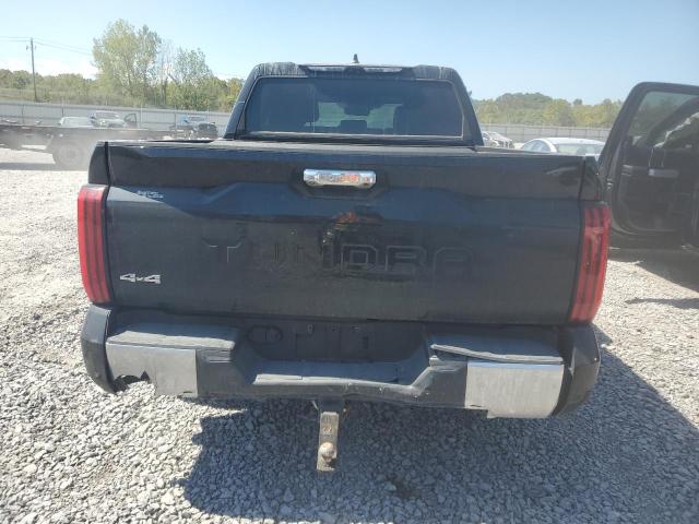 2023 TOYOTA TUNDRA CRE - 5TFJA5DB5PX106097