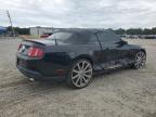 Lot #3023326270 2011 FORD MUSTANG