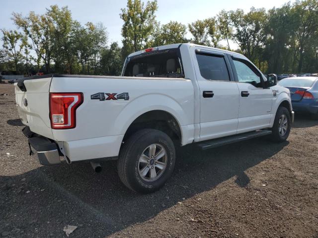2015 FORD F150 SUPER - 1FTEW1EP3FFB86266
