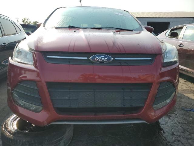 VIN 1FMCU0GX1EUA67481 2014 Ford Escape, SE no.5