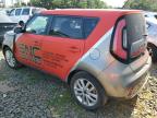 KIA SOUL + photo