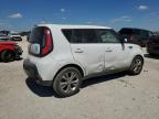 KIA SOUL + photo