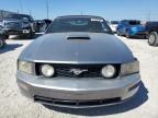 FORD MUSTANG GT photo