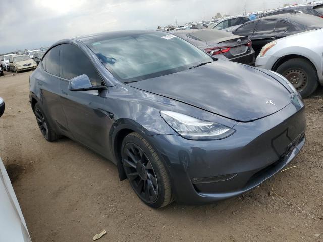 2022 TESLA MODEL Y - 7SAYGDEE2NF368539