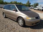 HONDA ODYSSEY EX photo