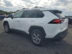 TOYOTA RAV4 XLE photo