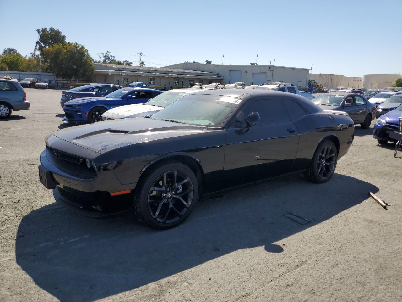 Lot #2988600289 2022 DODGE CHALLENGER