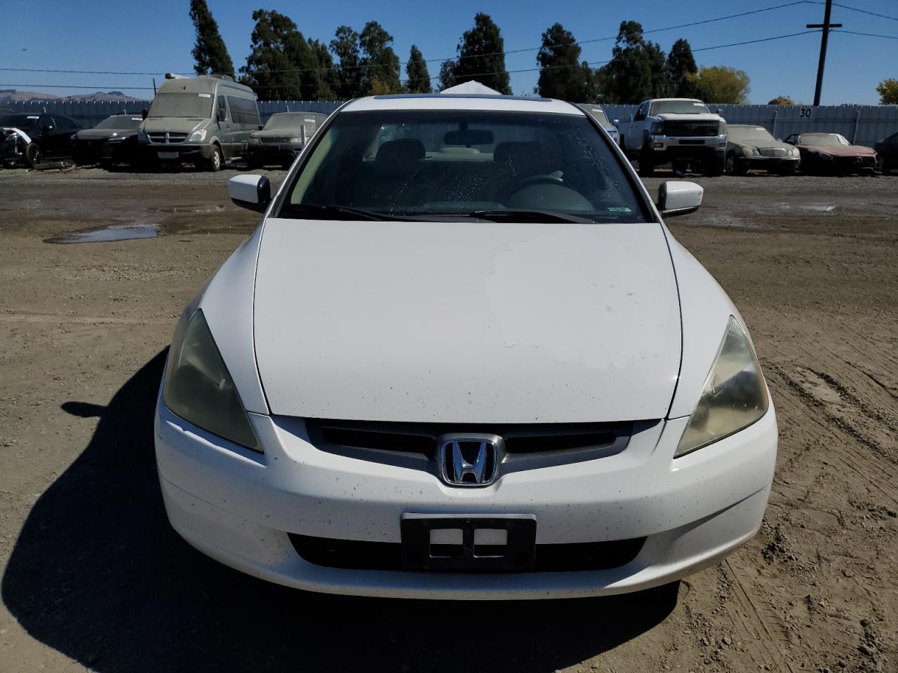 Lot #3030540481 2004 HONDA ACCORD EX