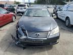 LEXUS ES 350 photo