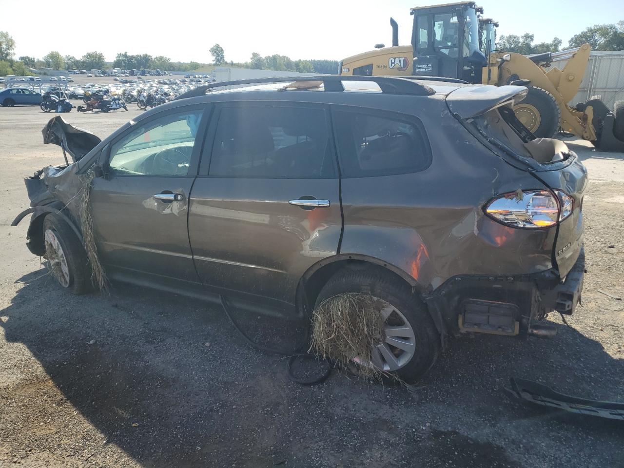 Lot #2986847133 2008 SUBARU TRIBECA LI