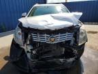 CADILLAC SRX LUXURY photo