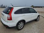 HONDA CR-V EXL photo