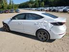 HYUNDAI ELANTRA SE photo