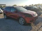 Lot #3025213605 2016 FORD ESCAPE TIT