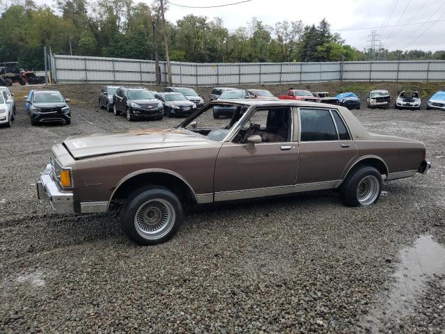 Vin: 2g1an69h6d1112354, lot: 73111544, chevrolet caprice classic 1983 img_1