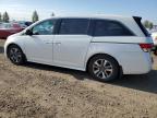 HONDA ODYSSEY TO photo