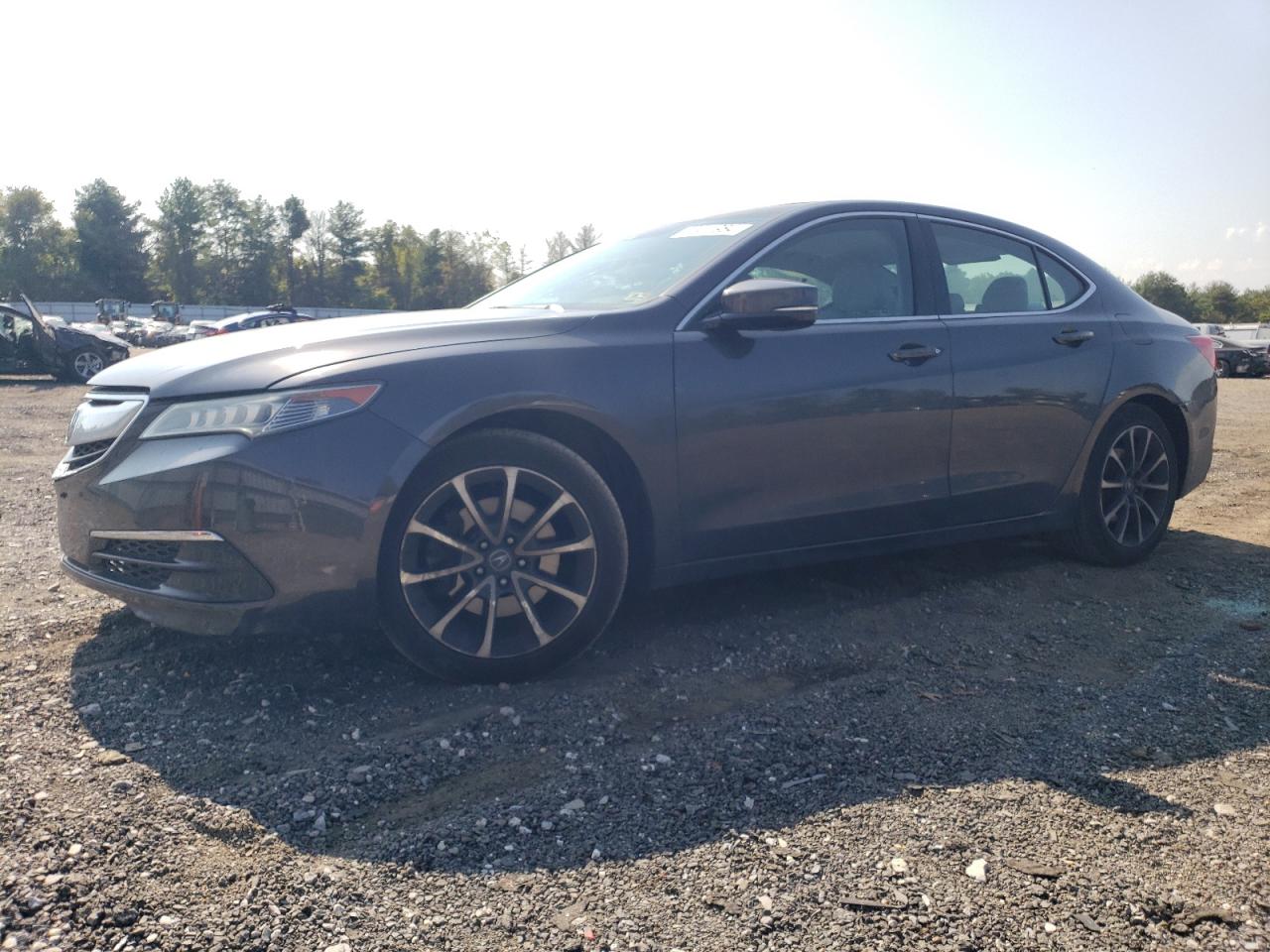 Lot #3009169462 2015 ACURA TLX TECH