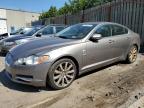 JAGUAR XF LUXURY photo