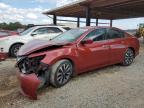 2017 NISSAN ALTIMA 2.5 - 1N4AL3APXHC111082