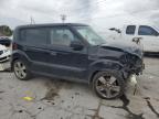 KIA SOUL + photo