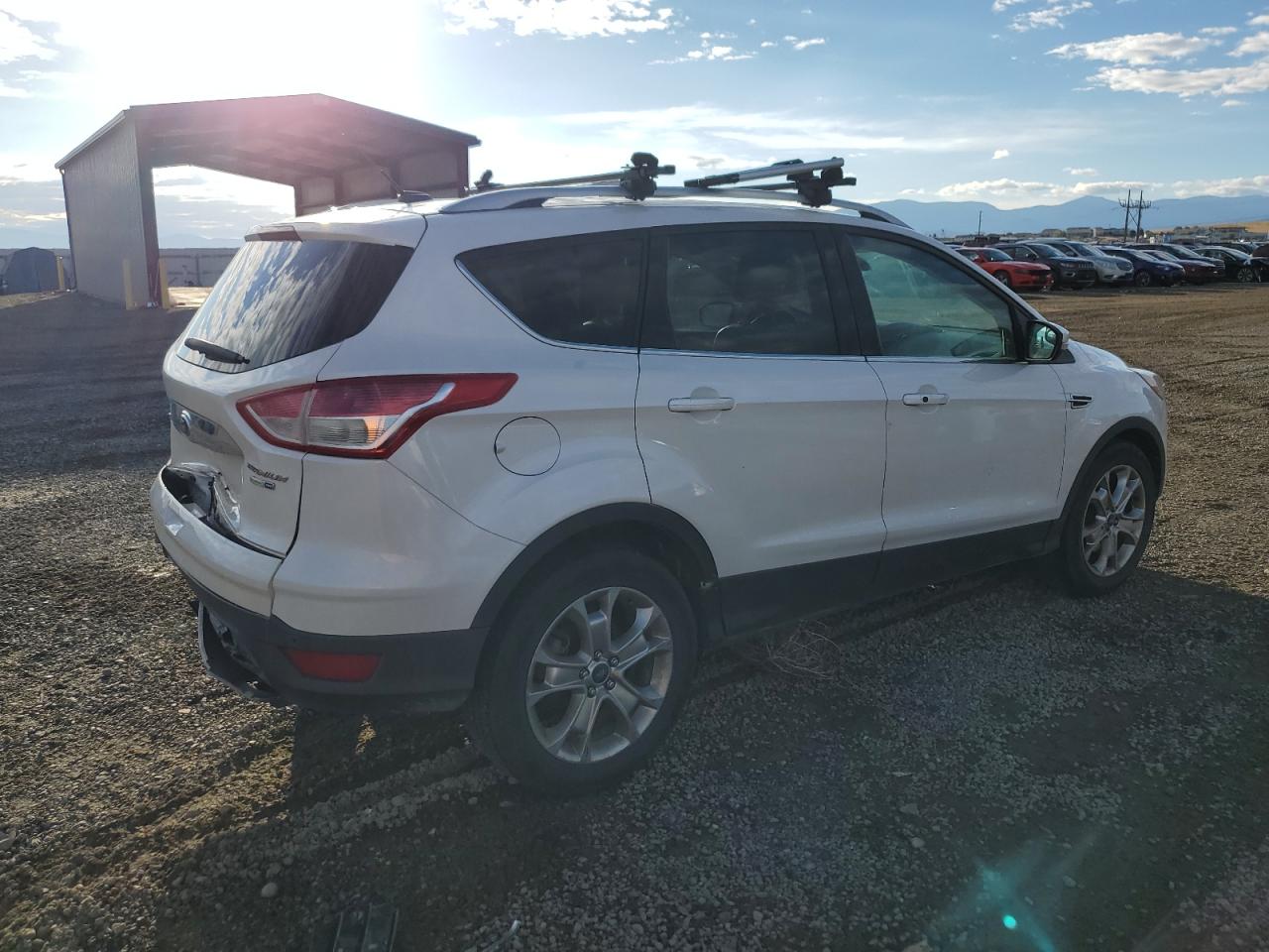 Lot #2955517507 2014 FORD ESCAPE TIT