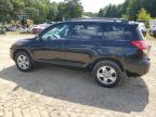 TOYOTA RAV4 photo