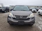 Lot #3024523349 2011 HONDA CR-V EX