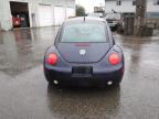 VOLKSWAGEN NEW BEETLE photo