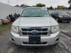 FORD ESCAPE XLS photo