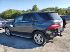 MERCEDES-BENZ ML 350 4MA photo