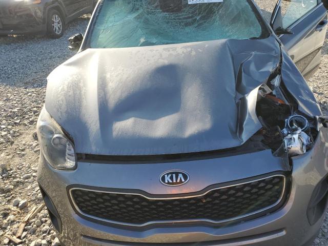 2019 KIA SPORTAGE L - KNDPM3AC4K7491695