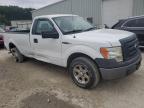 FORD F150 photo