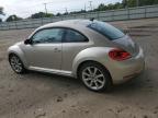 VOLKSWAGEN BEETLE photo